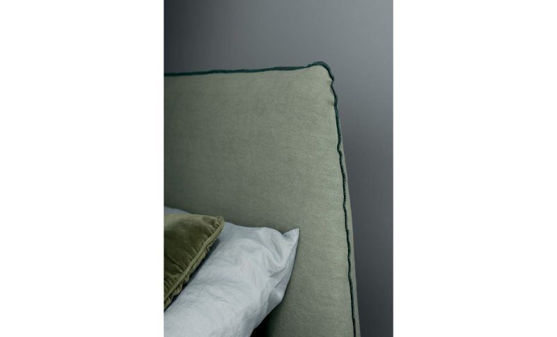 Vivid - Image 6